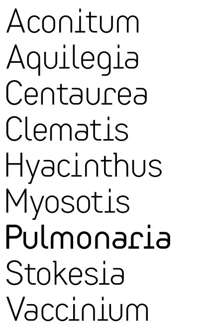 LUZ Type font by Klaus Hesse ©2021