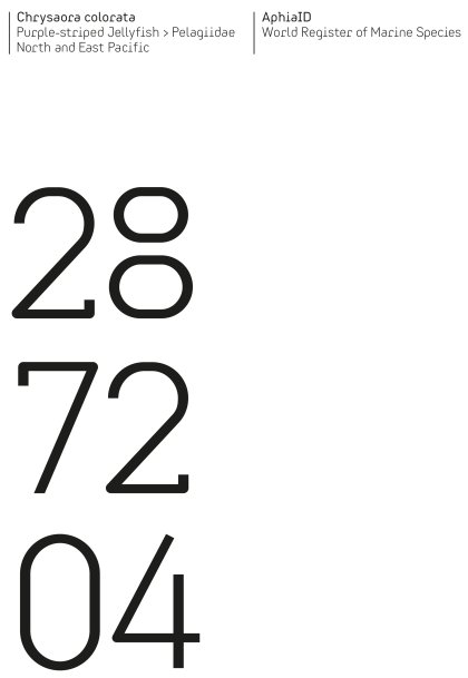 LUZ Type font by Klaus Hesse ©2021