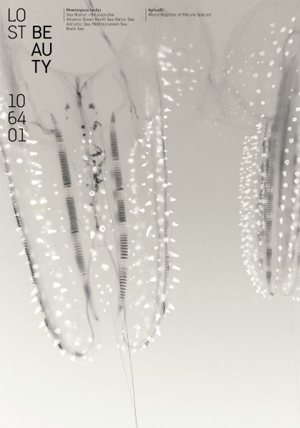 Poster series »Lost Beauty« based on the AphiaID of the World Register of Marine Species ©2023 by Hesse ©2023