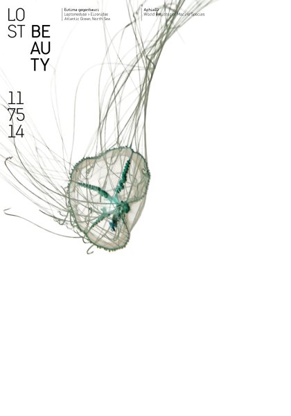 Poster series »Lost Beauty« based on the AphiaID of the World Register of Marine Species ©2023 by Hesse