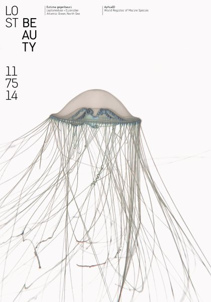 Poster series »Lost Beauty« based on the AphiaID of the World Register of Marine Species ©2023 by Hesse