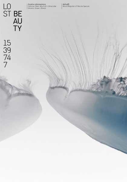 Poster series »Lost Beauty« based on the AphiaID of the World Register of Marine Species ©2023 by Hesse