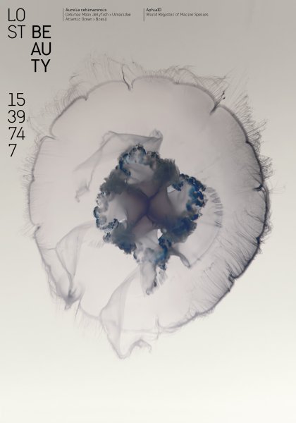 Poster series »Lost Beauty« based on the AphiaID of the World Register of Marine Species ©2023 by Hesse ©2023