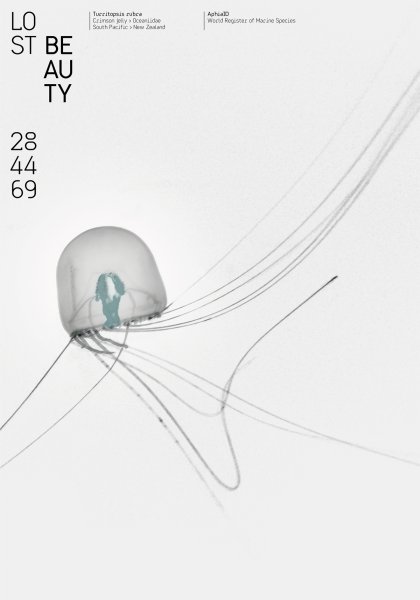 Poster series »Lost Beauty« based on the AphiaID of the World Register of Marine Species ©2023 by Hesse ©2023