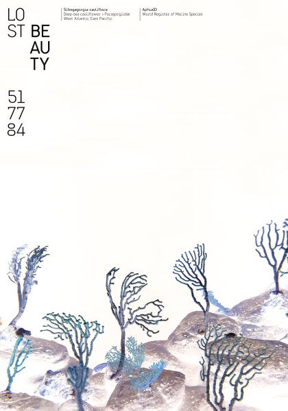 Poster series »Lost Beauty« based on the AphiaID of the World Register of Marine Species ©2023 by Hesse ©2023