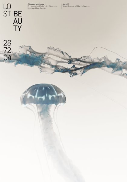 Poster series »Lost Beauty« based on the AphiaID of the World Register of Marine Species ©2023 by Hesse ©2023