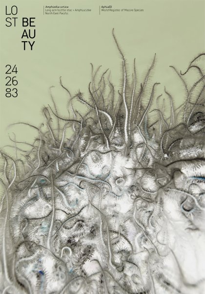 Poster series »Lost Beauty« based on the AphiaID of the World Register of Marine Species ©2023 by Hesse ©2023