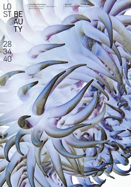 Poster series »Lost Beauty« based on the AphiaID of the World Register of Marine Species ©2023 by Hesse