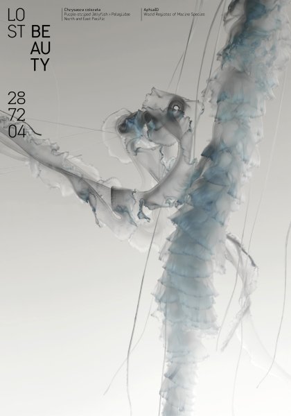 Poster series »Lost Beauty« based on the AphiaID of the World Register of Marine Species ©2023 by Hesse ©2023