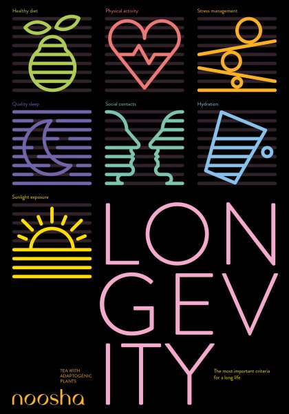 Poster series for noosha – Tea with adaptogenic plants ©2024